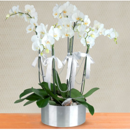 5 Dal Beyaz Orkide Çiçeği Aranjmanı